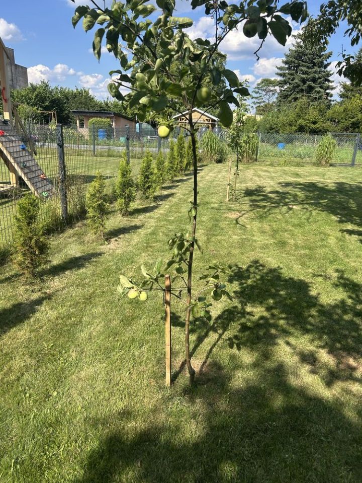 Działka rod Wałcz, ul. Nadjeziorna. Zdjęcie 8