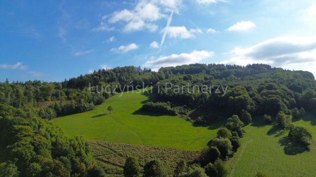 Działka rolna Wojcieszów. Zdjęcie 1