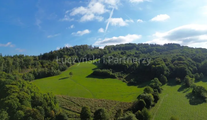 Działka rolna Wojcieszów