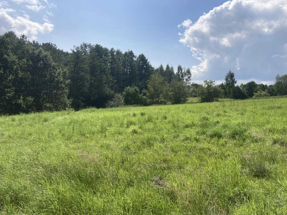 Działka rolno-budowlana Koźmice Wielkie. Zdjęcie 2