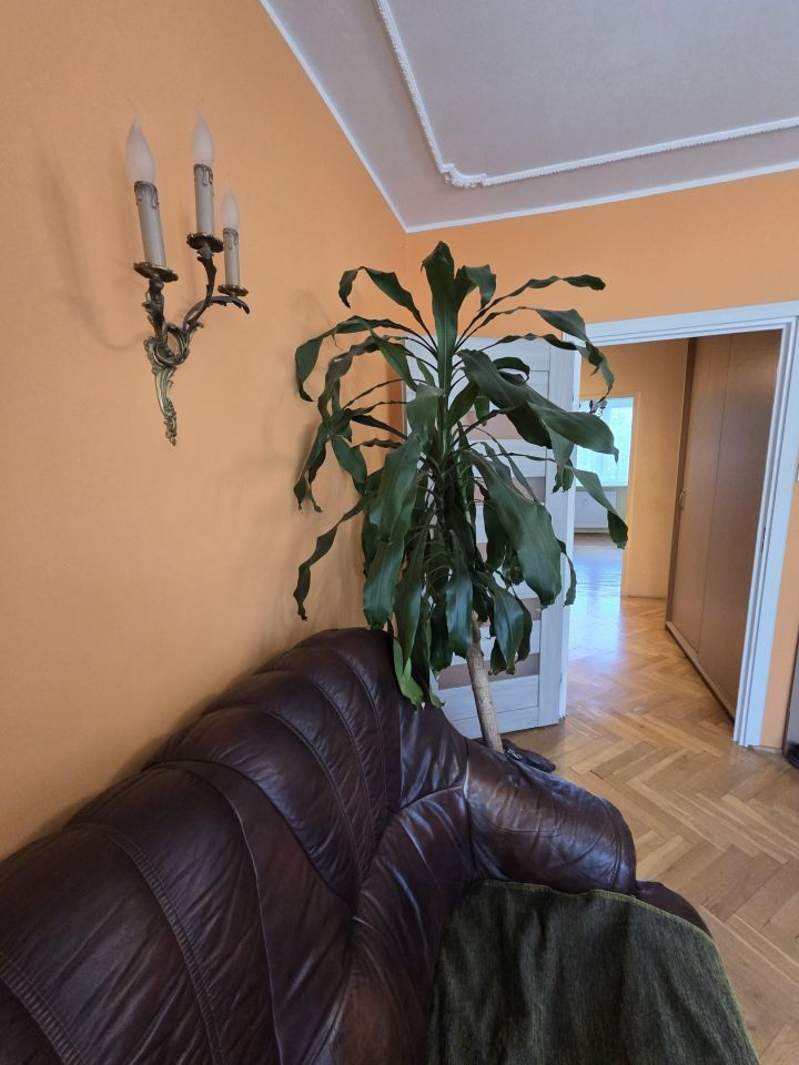 Mieszkanie 3-pokojowe Bydgoszcz Wyżyny, ul. Tadeusza Boya-Żeleńskiego. Zdjęcie 4