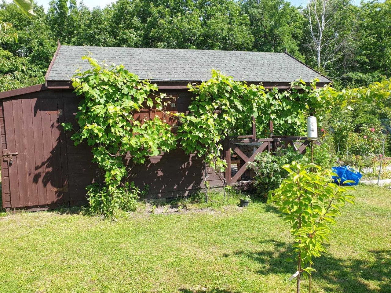 Działka rod Gliwice Kopernik, ul. Myśliwska. Zdjęcie 1