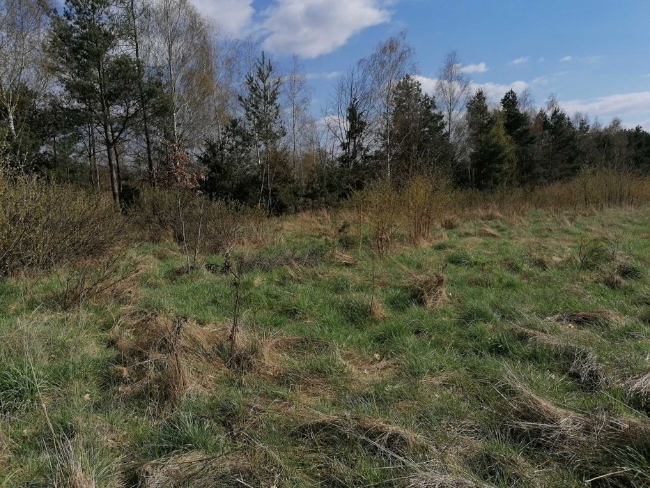 Działka rolna Karnkowo. Zdjęcie 4