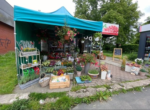 Lokal Jelenia Góra Centrum, ul. Wolności. Zdjęcie 1