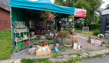 Lokal Jelenia Góra Centrum, ul. Wolności