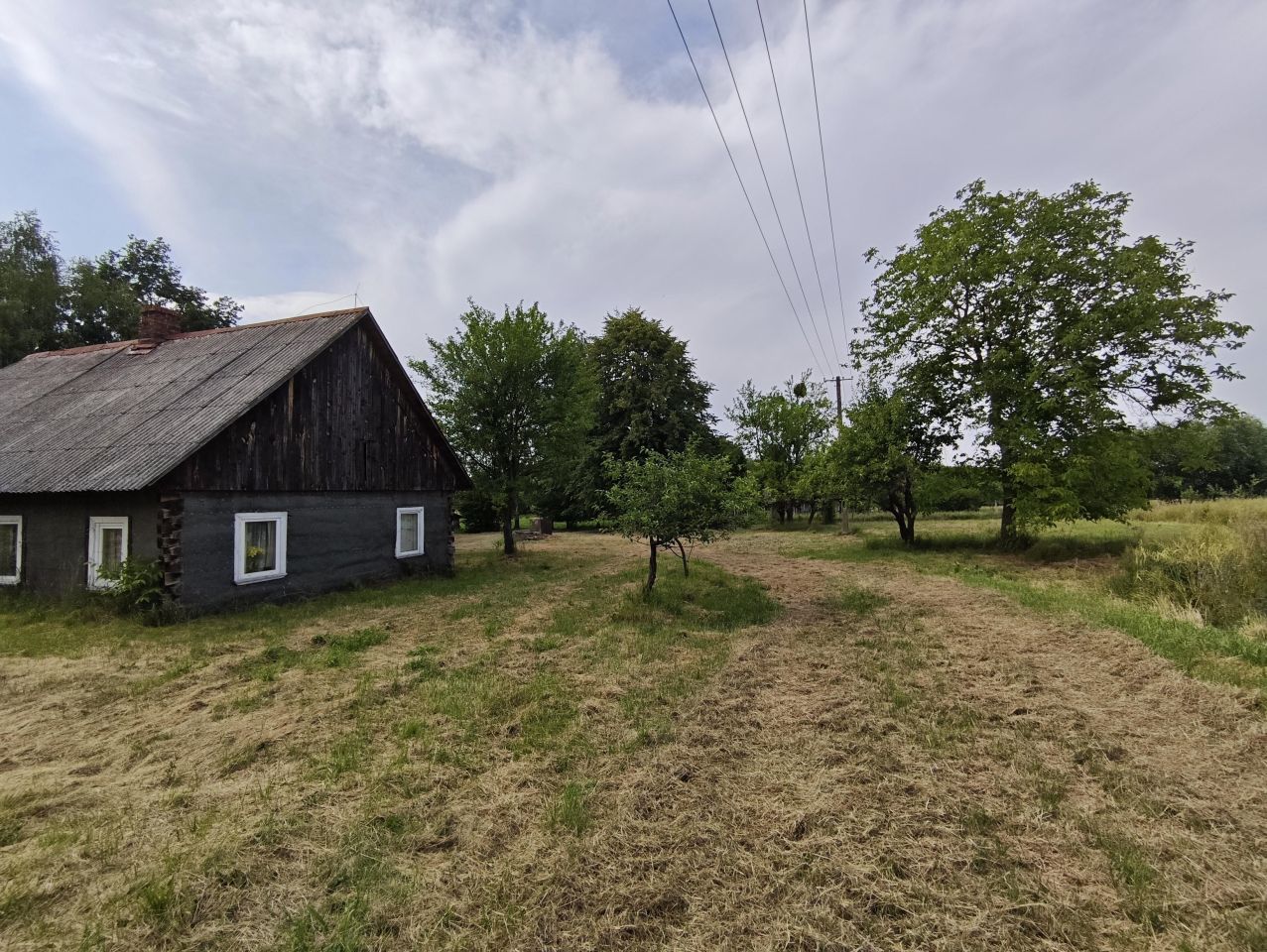 Działka rolno-budowlana Stawki Szkorutyniec. Zdjęcie 5