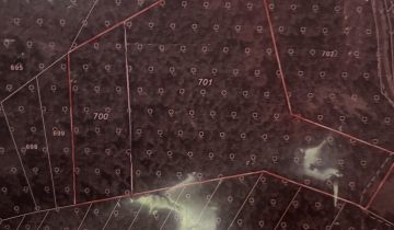 Działka leśna Majdan Golczański Załomy