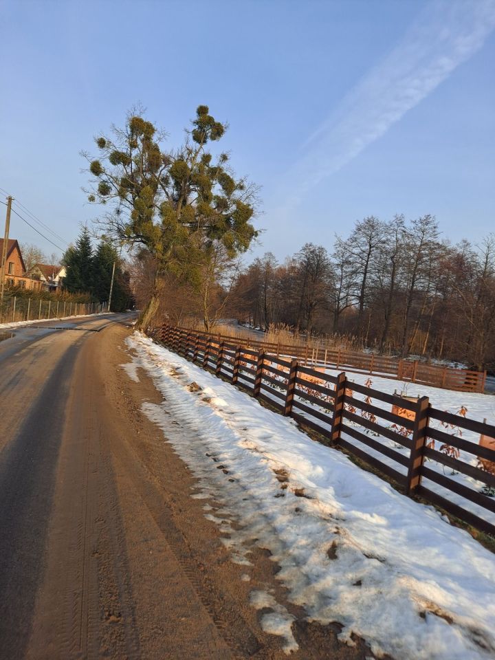 Działka budowlana Dębinka. Zdjęcie 7
