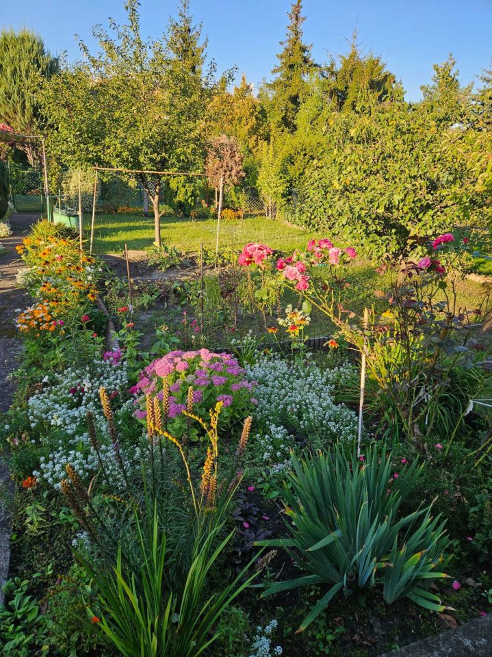 Działka rod Poznań Winogrady, ul. Serbska. Zdjęcie 7