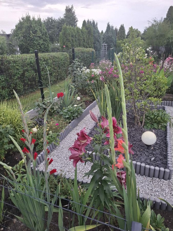 Działka rod Będzin, ul. Grabowa. Zdjęcie 14