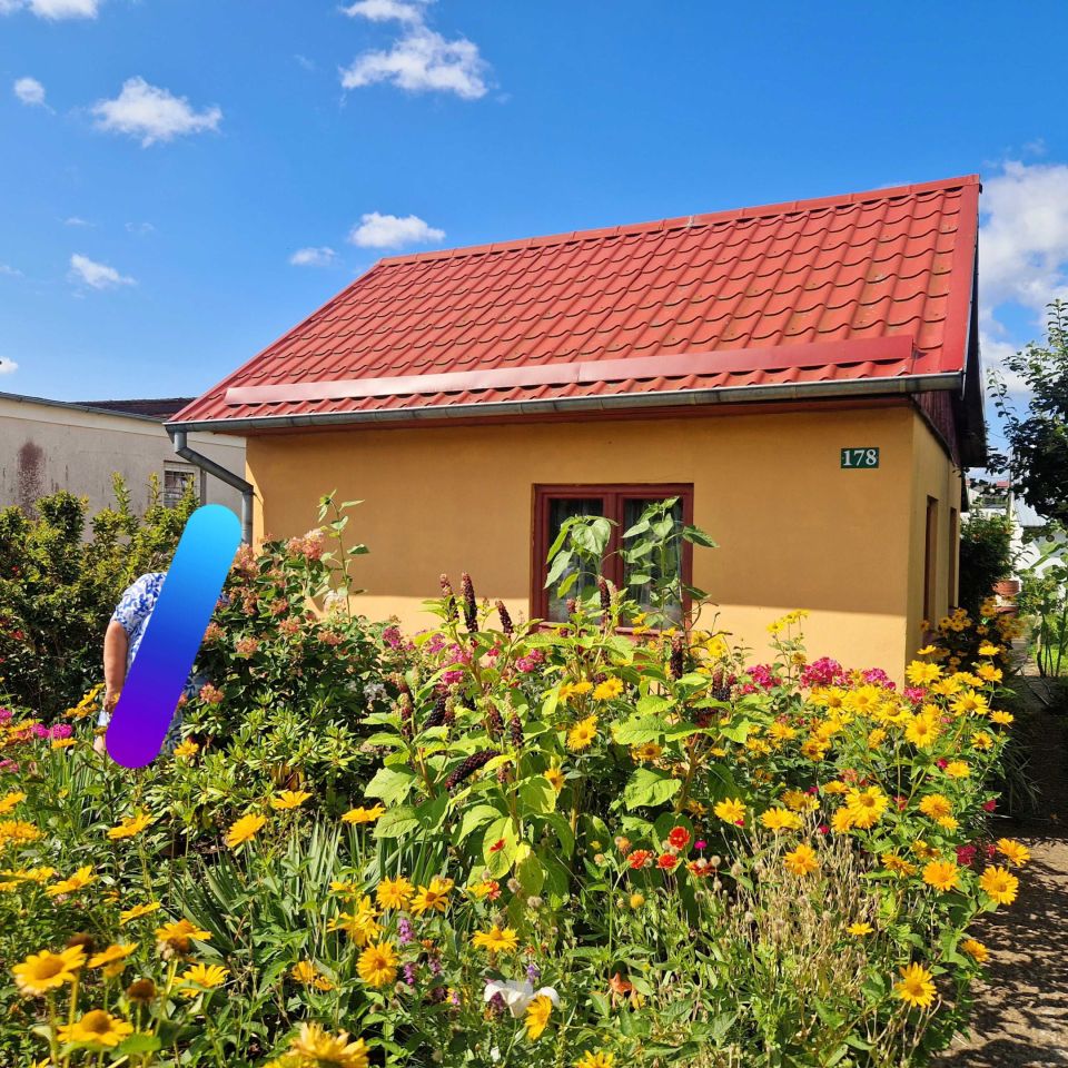 Działka rod Mrągowo, ul. Wojska Polskiego. Zdjęcie 1
