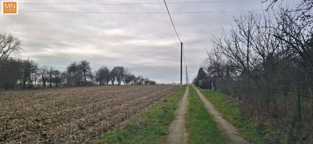 Działka inwestycyjna Morawica. Zdjęcie 3