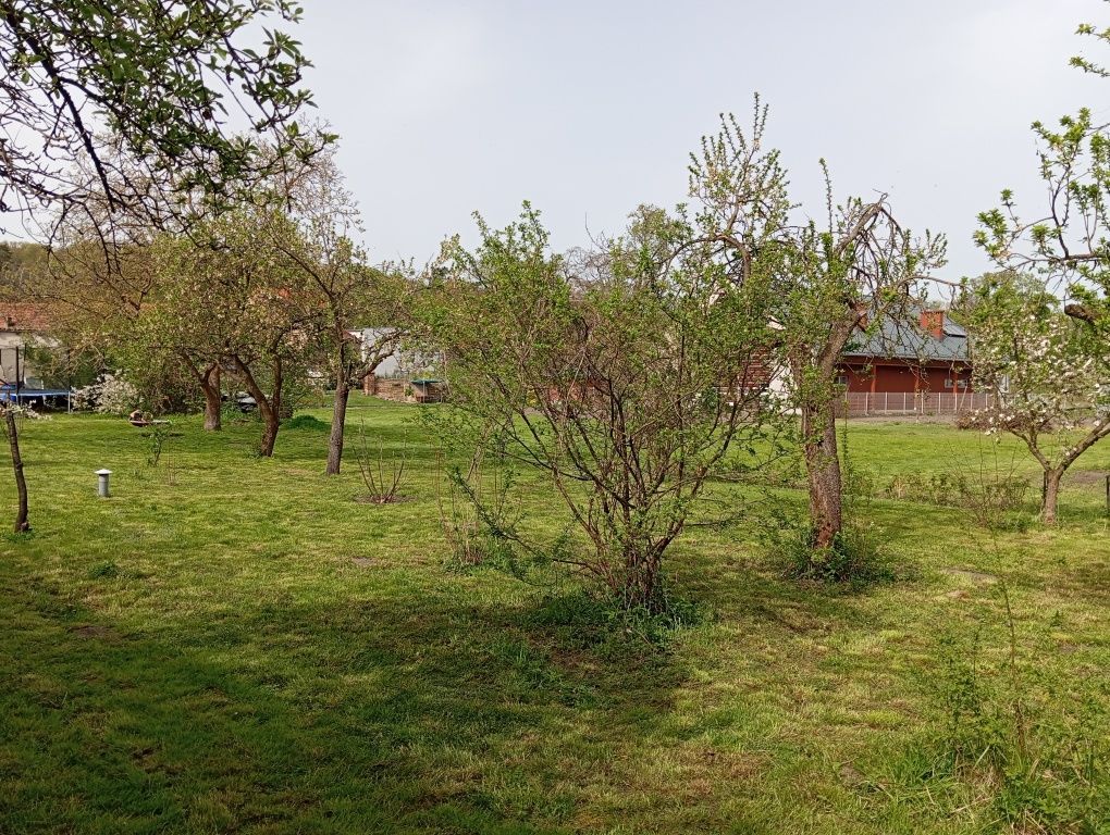 dom wolnostojący Dąbroszyn. Zdjęcie 7