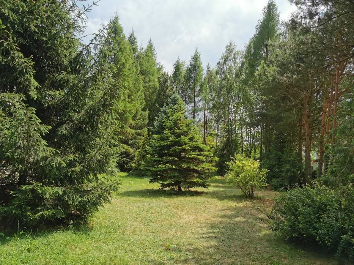 Działka budowlana Rokitnica. Zdjęcie 5