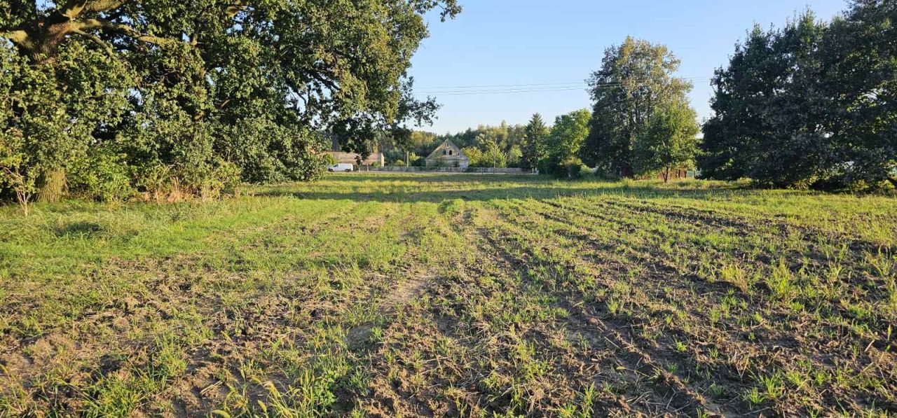 Działka inwestycyjna Stare Strącze. Zdjęcie 3