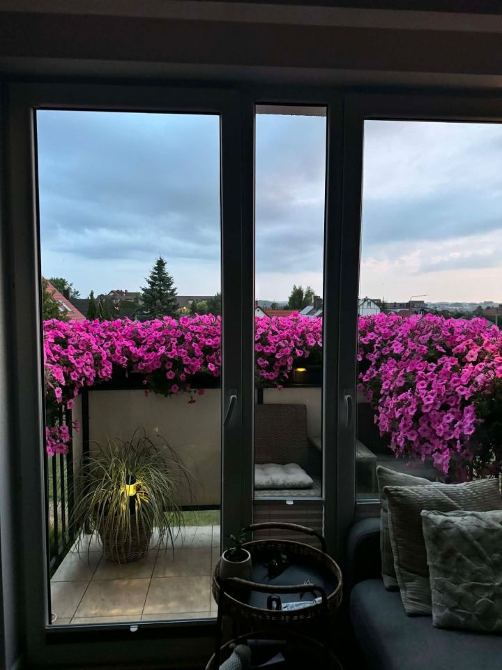 Mieszkanie 4-pokojowe Rzepnica, ul. Tulipanowa. Zdjęcie 5