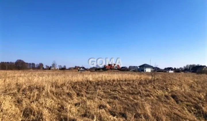 Działka siedliskowa Dębe Wielkie