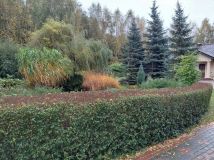 dom wolnostojący, 3 pokoje Dobrzany. Zdjęcie 4