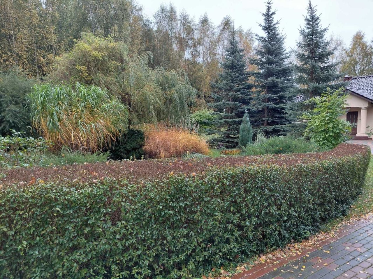 dom wolnostojący, 3 pokoje Dobrzany. Zdjęcie 5