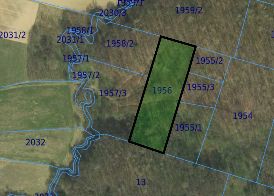 Działka leśna Łużna, Wjazd od Szalowa. Zdjęcie 9
