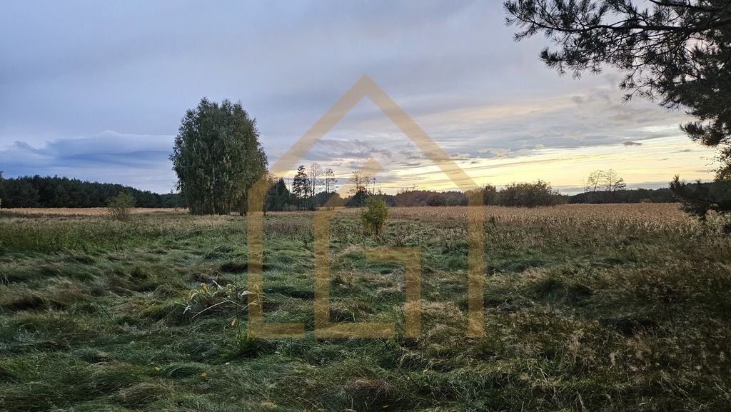 Działka siedliskowa Bełchów. Zdjęcie 1