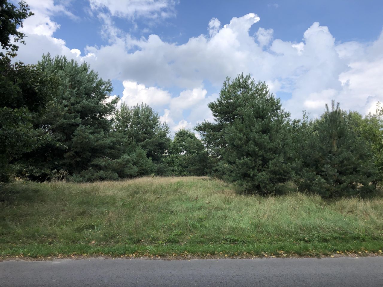 Działka budowlana Kuźnica Wąsowska, ul. Rzeczna. Zdjęcie 6