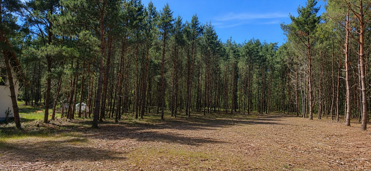 Działka budowlana Karczewko, ul. Bukowa. Zdjęcie 4