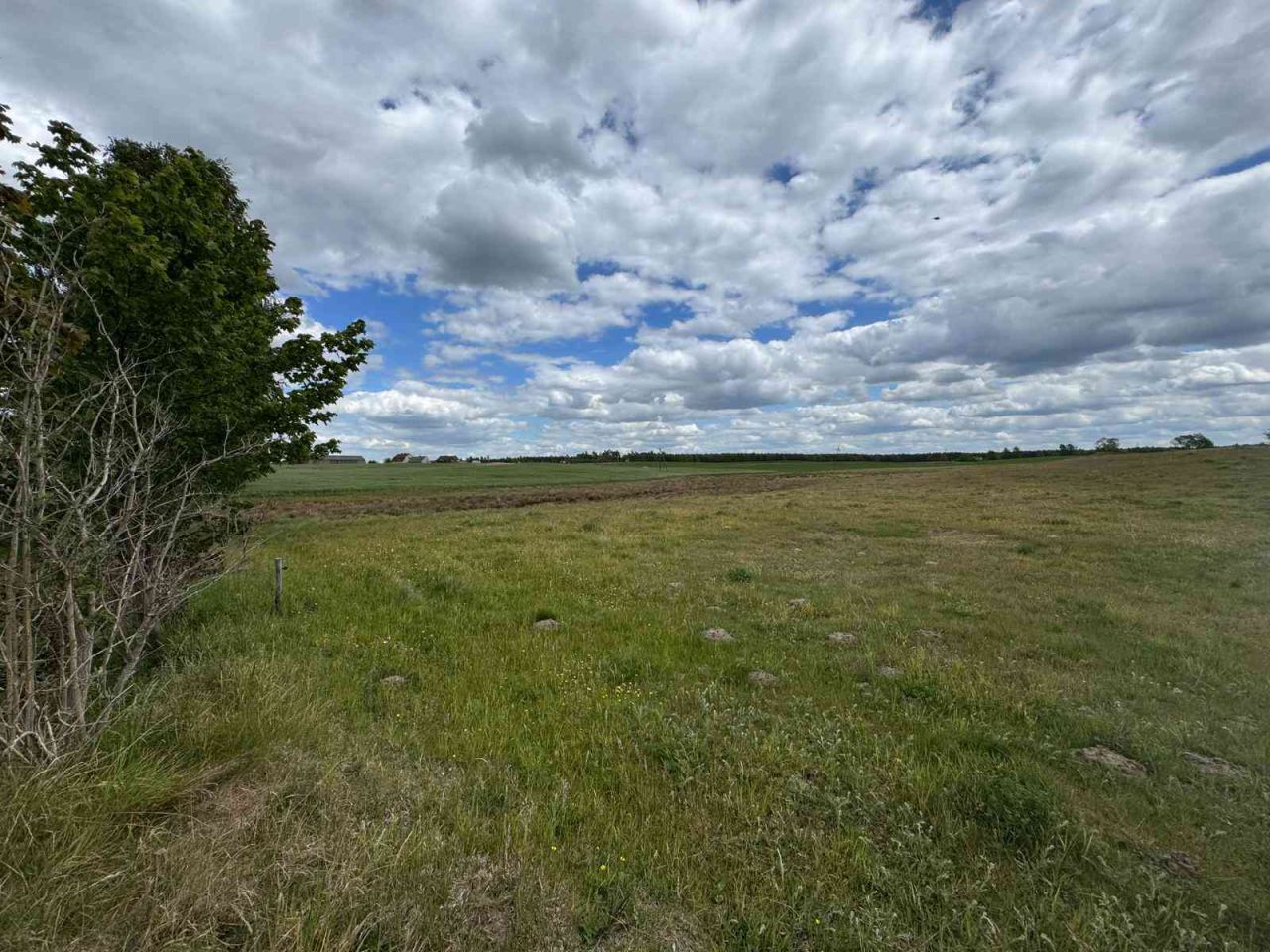 Działka rolno-budowlana Odry, al. Topoli. Zdjęcie 14