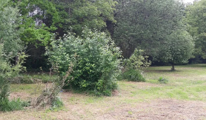 Działka rolna Krosno Białobrzegi