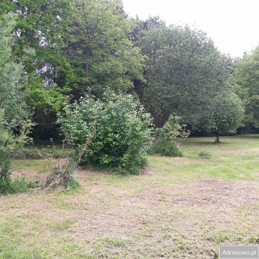 Działka rolna Krosno Białobrzegi