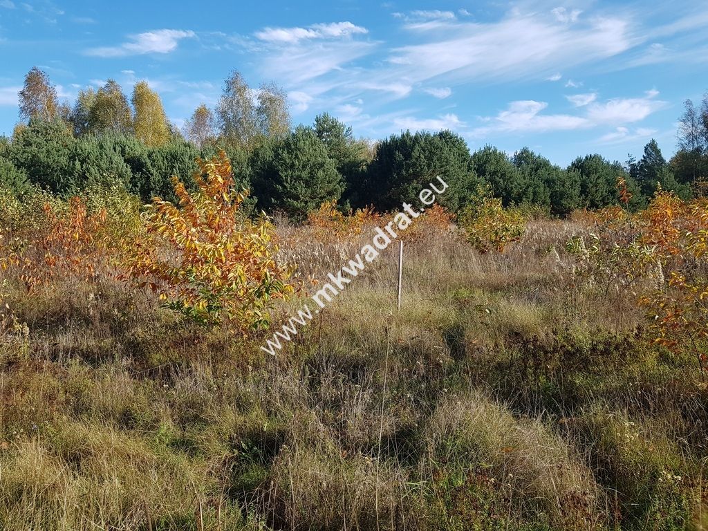 Działka budowlana Grabina Radziwiłłowska. Zdjęcie 5