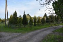 Działka rod Gniezno, ul. Powstańców Wlkp.. Zdjęcie 1