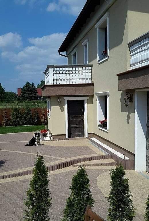 dom wolnostojący Orzech. Zdjęcie 3