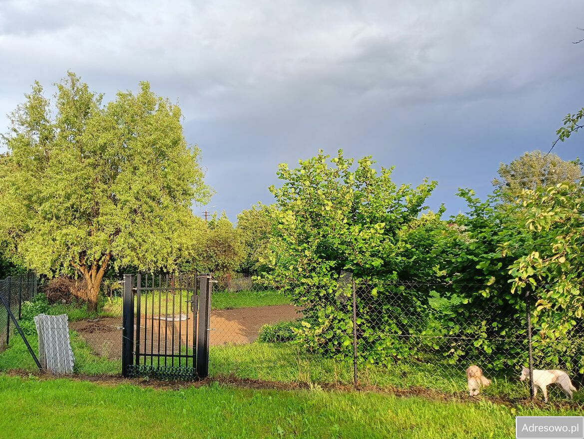 Działka budowlana Leśniewice. Zdjęcie 11