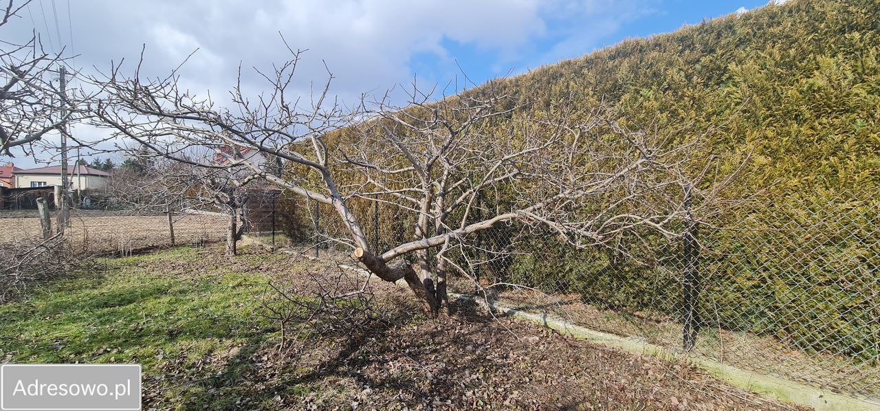 Działka budowlana Radzyń Podlaski, ul. Wincentego Witosa. Zdjęcie 5