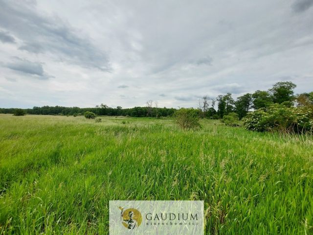 Działka Karszyn. Zdjęcie 9