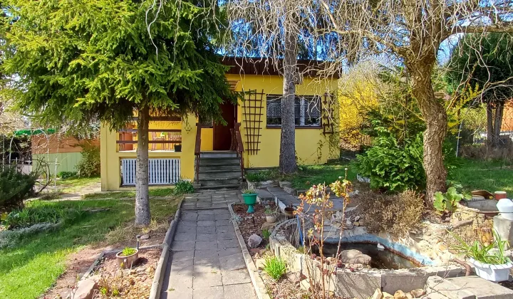 Działka rod Ruda Śląska Bielszowice, ul. Pasieczna