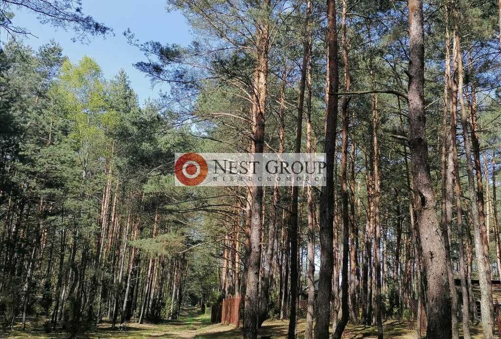 Działka rekreacyjna Gilówka Dolna. Zdjęcie 6