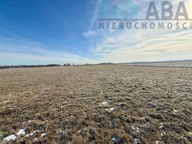 Działka budowlana Słodków. Zdjęcie 1