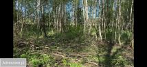 Działka rolna Sasino, ul. Wiatrowa. Zdjęcie 4