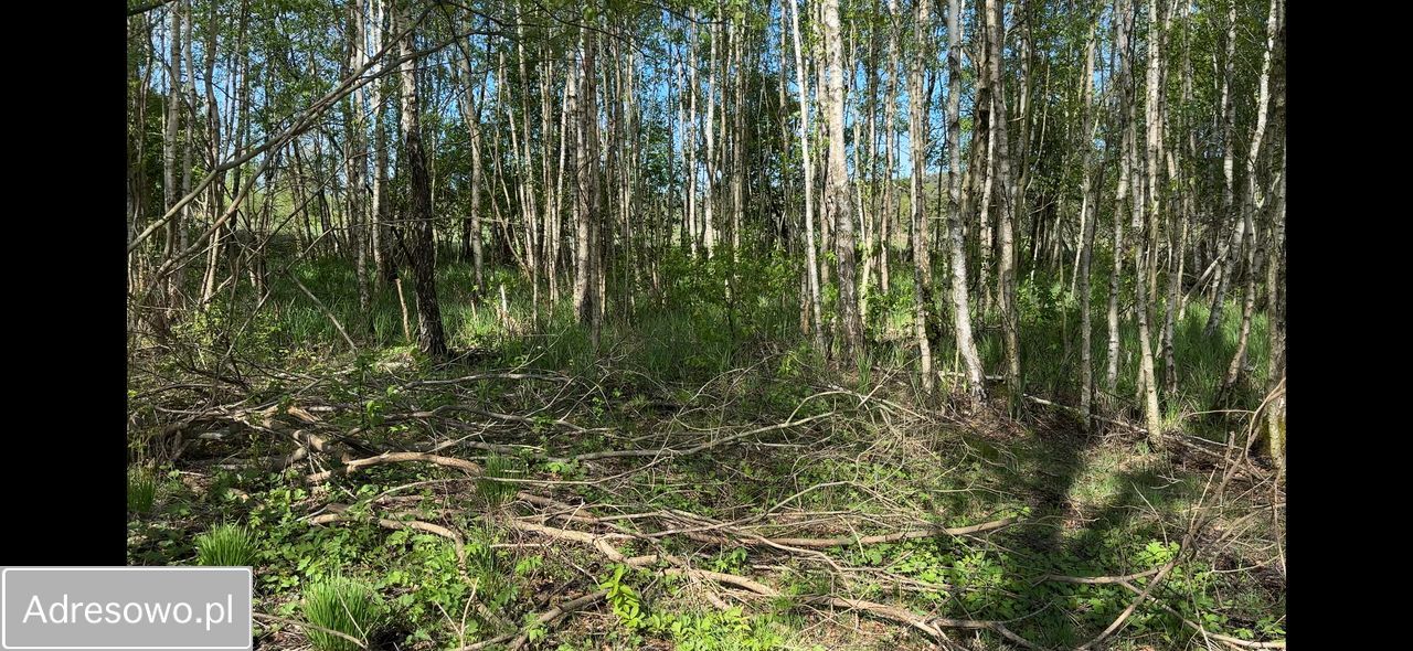 Działka rolna Sasino, ul. Wiatrowa. Zdjęcie 5