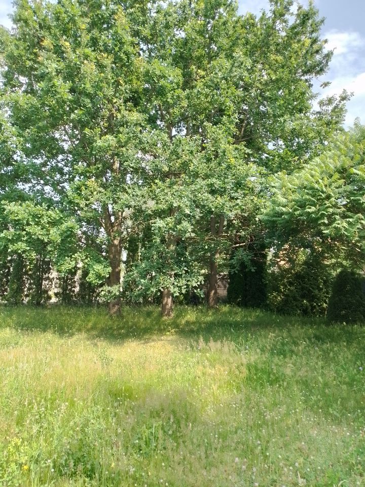 dom wolnostojący, 3 pokoje Wójtowo, ul. Makowa