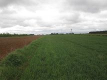 Działka rolna Krępa Górna. Zdjęcie 2