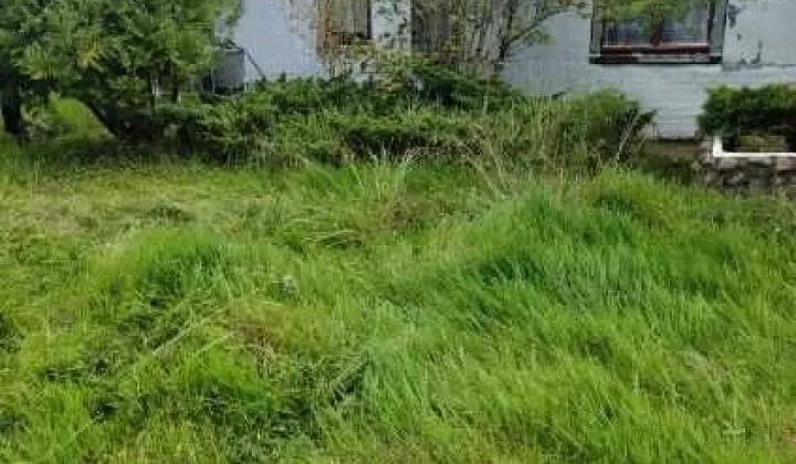 Działka rod Włocławek, ul. Jastrzębia