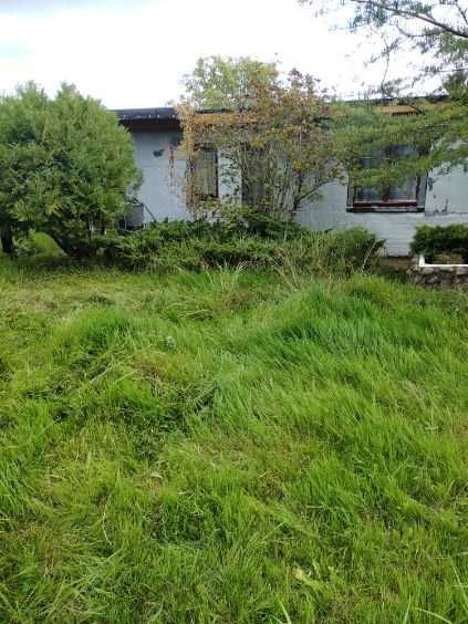 Działka rod Włocławek, ul. Jastrzębia