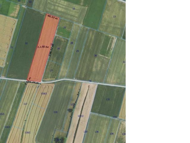 Działka rolna Wolica. Zdjęcie 1