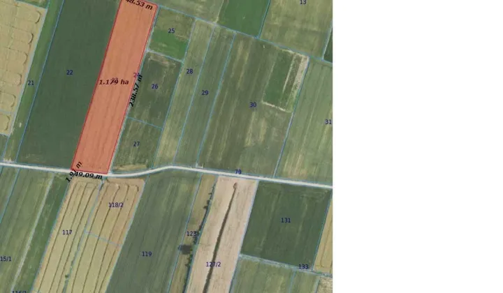 Działka rolna Wolica