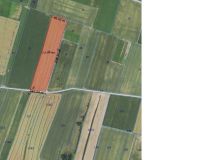 Działka rolna Wolica