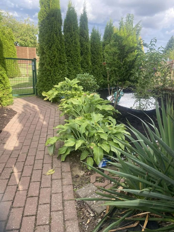 Działka rod Człuchów, ul. Jerzego z Dąbrowy. Zdjęcie 7