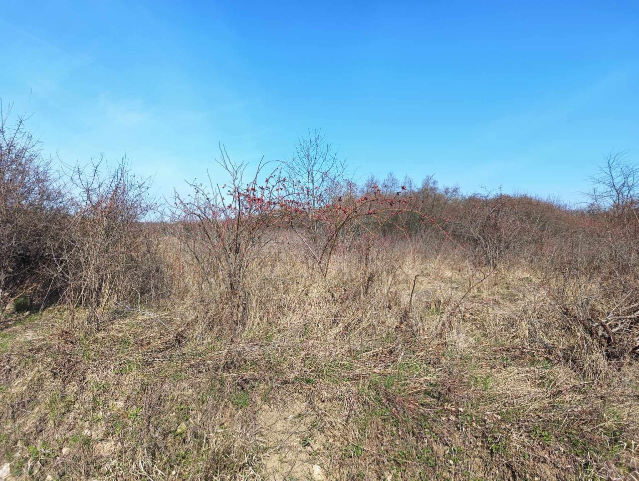 Działka rolna Kielce Nowy Folwark, ul. Ciekocka. Zdjęcie 9